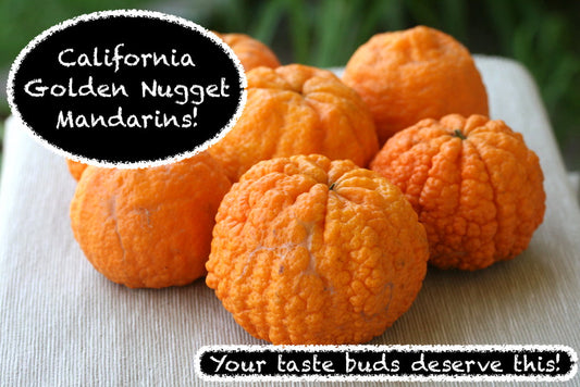 Golden Nugget Mandarins! Order Now Open!